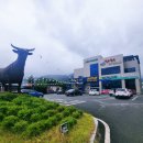 청도 더문 독채감성숙소 이미지