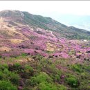 고산목장2 이미지