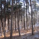 남산약수터 이미지