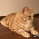 혜리농장 이미지