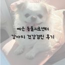 마음든 동물병원 | [내돈내산] 강남 예은 동물병원 | 예은 동물의료센터 강아지 건강검진 후기