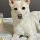 머거두댕 이미지