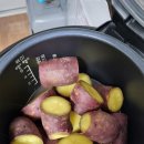 버닝휘트니스 이미지