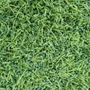 신둔체육공원 이미지