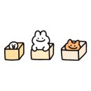 런던아이 안경.콘택트 이미지