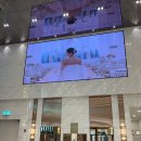 W8. 루미에르홀 실물영접 시연회 홀투어 솔직후기 (입장, 행진 영상)