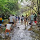 강원도자연환경연구공원 이미지