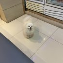 환희노래연습장 이미지