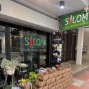 쿠킹클래스 | 방콕 여행 실롬 타이 쿠킹클래스 후기