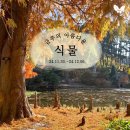 통나무아일랜드 이미지