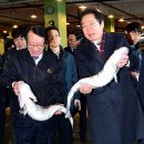 부산공동어시장 이미지