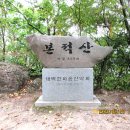 본적산(1251) 이미지