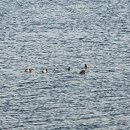 은천동-12 이미지