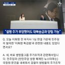 민주당 "쌍방울 대납 주가부양용…안부수 판결서 인정" 이미지