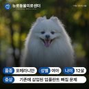정강동물병원 이미지