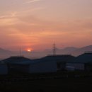 새벽축산