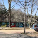 임고초등학교 이미지