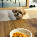 소소떡볶이탄현점