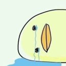 나진약국 | [난소 혹 제거 수술 후기] 개쫄보 엄살아티스트의 인생 첫 수술 😰