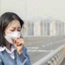 천식(asthma)은 폐로 연결되는 통로(기관지)에 특정 유발 원인 물질로 인해 염증이 생겨 기관지가 심하게 좁아지는 질환 이미지