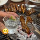 UR(오산시)-[원동로]-상-6 | 오산원동맛집 영흥갈비 쪽갈비 후기, 단체회식 추천