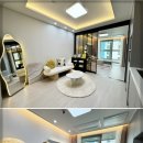 스테빌리움 이미지