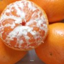 오부자농장 이미지