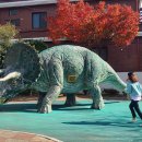 사림동117 이미지