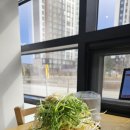 이향 | 강릉 현지인 맛집, 이향불고기 디테일한 솔직 후기