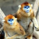 디자인뚝딱 - 북구 첨단과기로208번길 17-29 | 디자인뚝딱