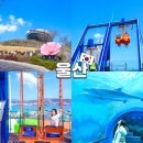 선촌마을 공중화장실 | 울산 장생포 고래문화마을 웨일즈 판타지움 박물관 체험관