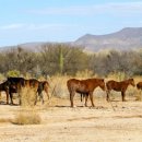 팝송교실 이미지