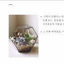 미니정원(테라리움) 이미지