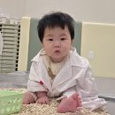 문현4치안센터 | 부산 이마트 문현점 문화센터 배꼽친구 오감놀이 6개월 아기 꼬마 의사선생님으로 변신 완료!