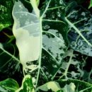 참농비료 이미지