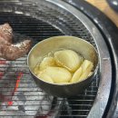 은행나무갈매기 이미지