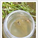 적량초등학교 이미지