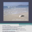 헬로여행사