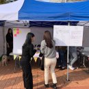 파이리코 이미지