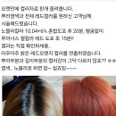 높은 트리트먼트 배합량 염모제 "노블리 컬러 크림" 이미지