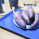 솔빛농원
