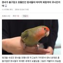 총 들이밀면 한녀들이 그동안 까불어서 죄송합니다 하고 무릎꿇고 비는 순간만을 꿈꿔왔는데 현실은 총구잡고 총 뺏으려 함 이미지