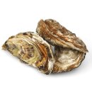 조양물산 이미지