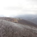 그집 순댓국 이미지