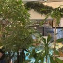 방배천로4안길 48 이미지