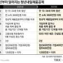 채움피플