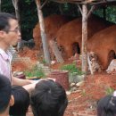 옥천초등학교 이미지
