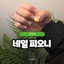 네일;피오니