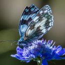 백양축산 이미지