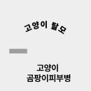 링크늘푸른동물병원 이미지